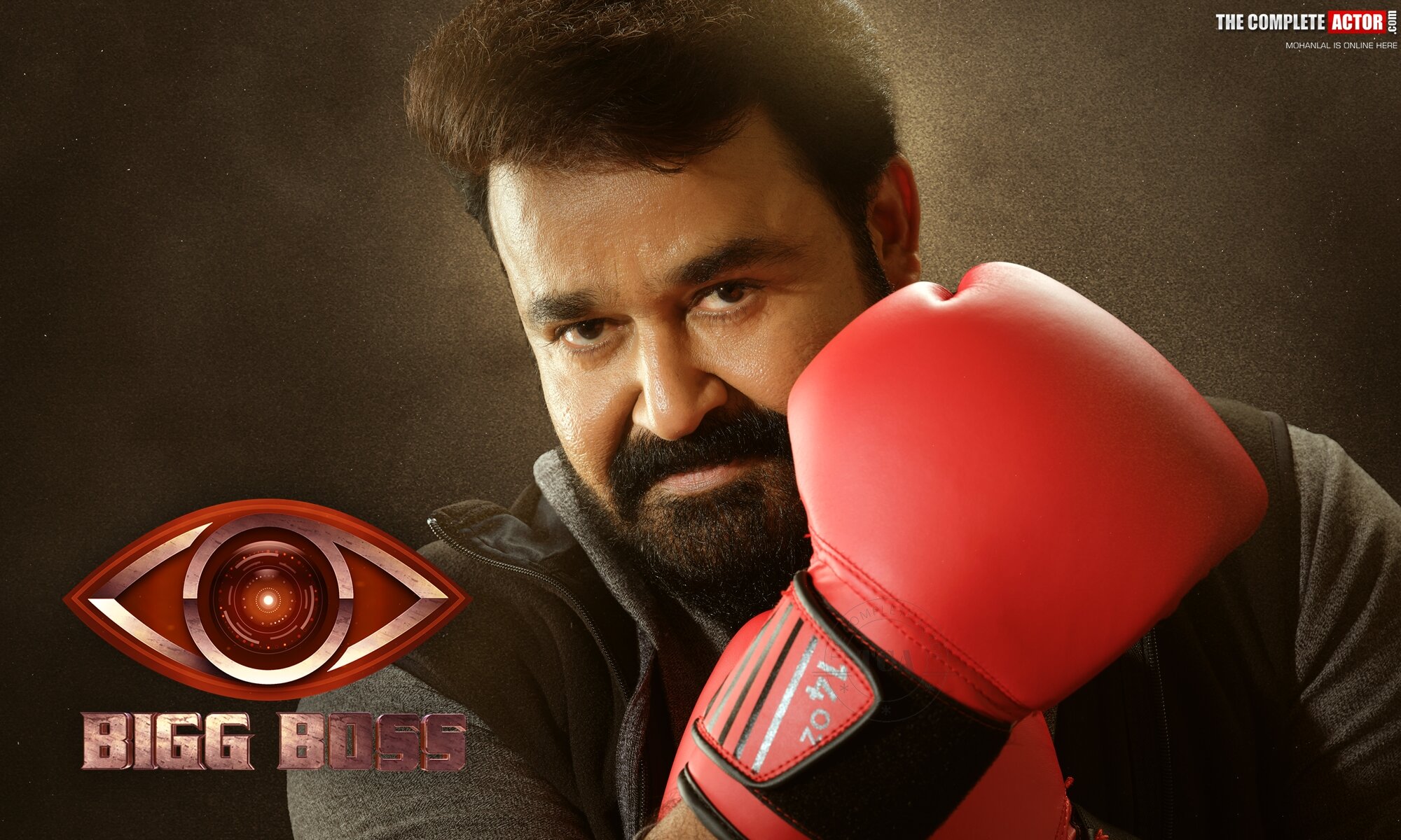 Bigg Boss Season 3